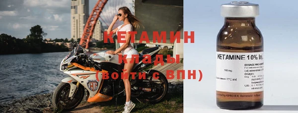 ПСИЛОЦИБИНОВЫЕ ГРИБЫ Богданович