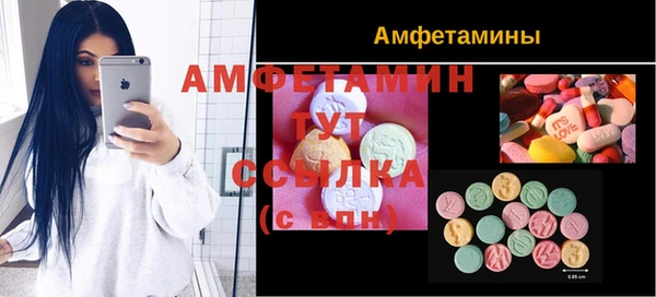 стаф Богородск