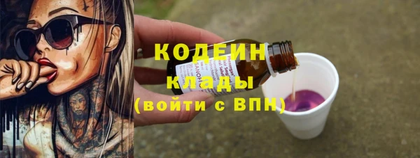 ПСИЛОЦИБИНОВЫЕ ГРИБЫ Богданович