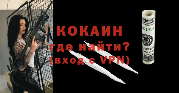 ПСИЛОЦИБИНОВЫЕ ГРИБЫ Богданович