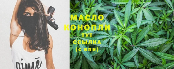 ПСИЛОЦИБИНОВЫЕ ГРИБЫ Богданович