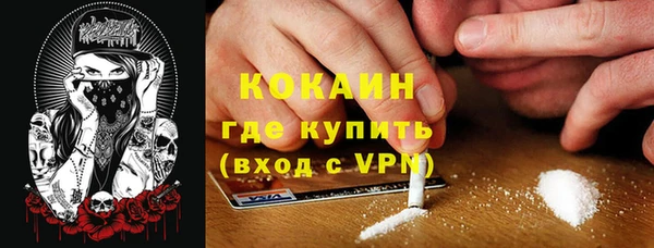 ПСИЛОЦИБИНОВЫЕ ГРИБЫ Богданович