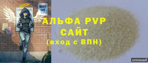 ПСИЛОЦИБИНОВЫЕ ГРИБЫ Богданович
