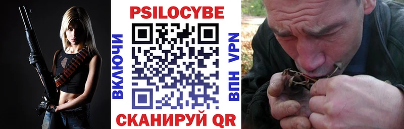 Псилоцибиновые грибы Psilocybe продажа наркотиков Юрга